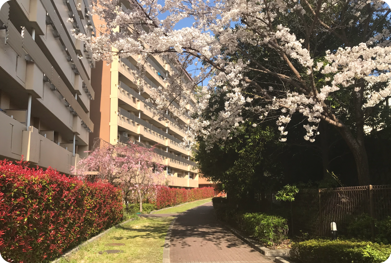 大阪市住宅供給公社 イメージ画像